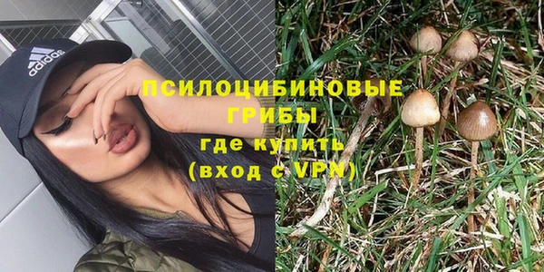гидра Верхний Тагил