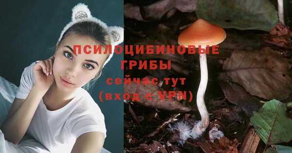 ALPHA PVP Верхнеуральск