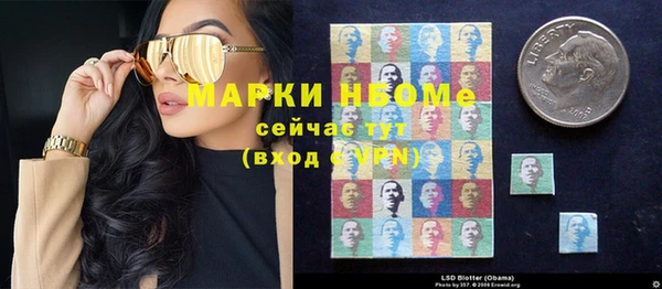 гидра Верхний Тагил